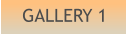 GALLERY 1