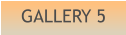 GALLERY 5