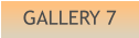 GALLERY 7