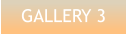 GALLERY 3