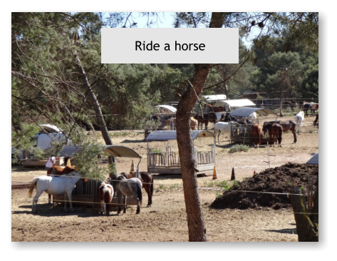 Ride a horse