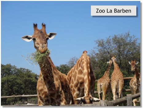 Zoo La Barben